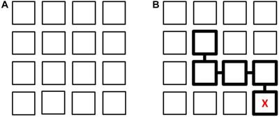 Path Learning in Individuals With Down Syndrome: The Floor Matrix Task and the Role of Individual Visuo-Spatial Measures